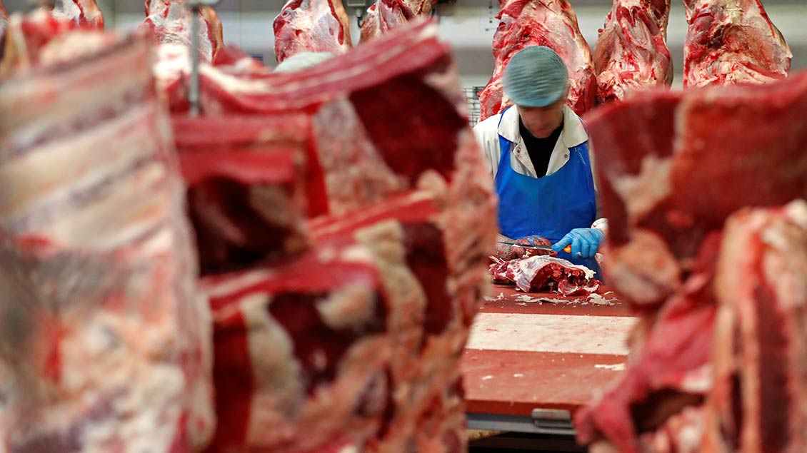 Ein Arbeiter zerlegt Fleisch in einer Großschlachterei.