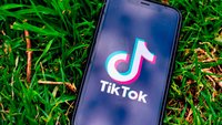 Smartphone mit TikTok-Startbildschirm im Gras.