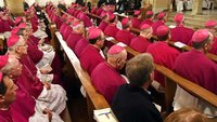 Bischöfe während der Vollversammlung der Deutschen Bischofskonferenz in Lingen.
