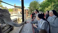 Schwestern schauen sich einen Elefanten an. Bild links steht ein Elefant, der den Schwestern den Rüssel zuwendet. Sie haben einen Apfel in der Hand.