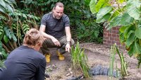 Eine junge Frau pflegt einen Gartenteich und wird von einem Mann unterstützt