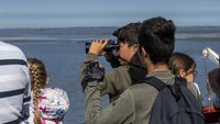 Kinder gucken durch ein Fernglas aufs Meer