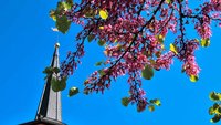 Kirchturm im Frühling