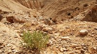 Unwirtliches Gelände: in der Negev-Wüste in Israel.