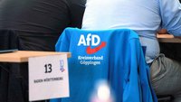 Szene bei AfD-Bundesparteitag