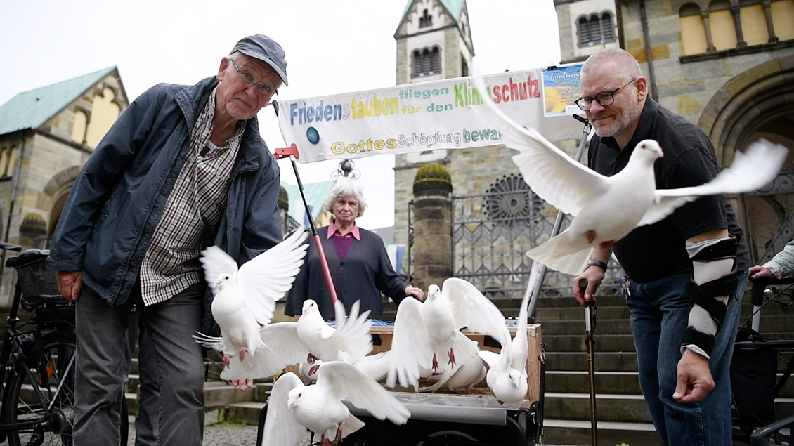Vor der St.-Walburga-Kirche öffnet sich der Taubenkäfig