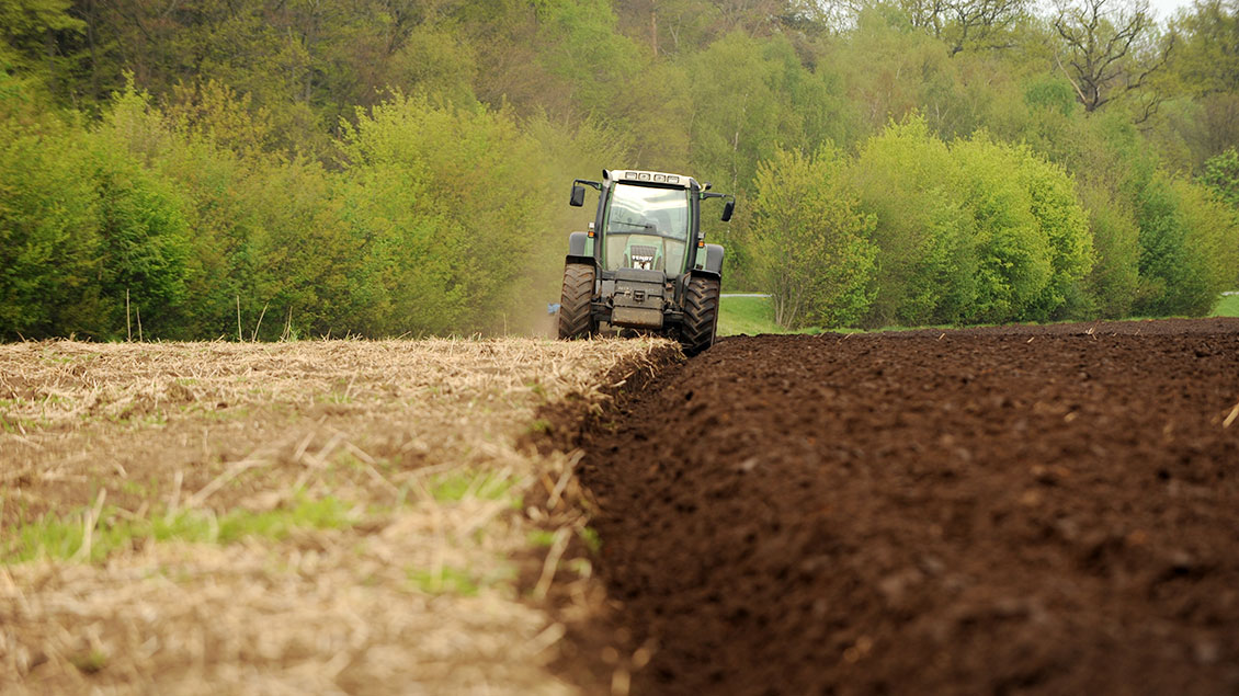 Trecker auf einem Feld