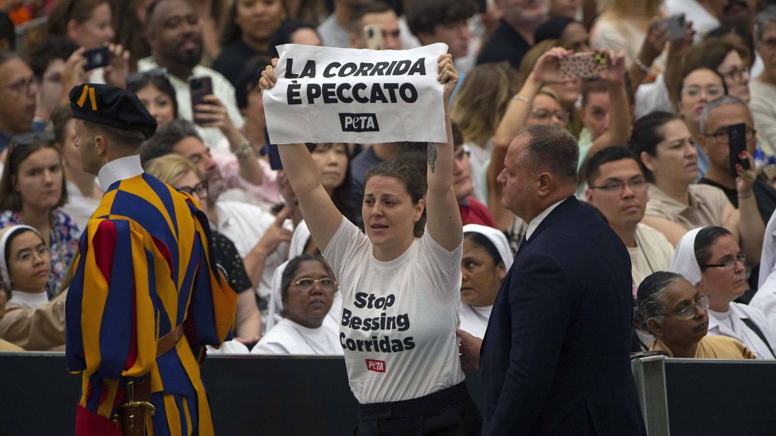 Peta-Protest bei der Papstaudienz